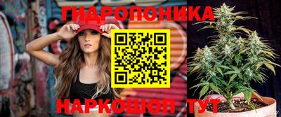 mdma Заводоуковск